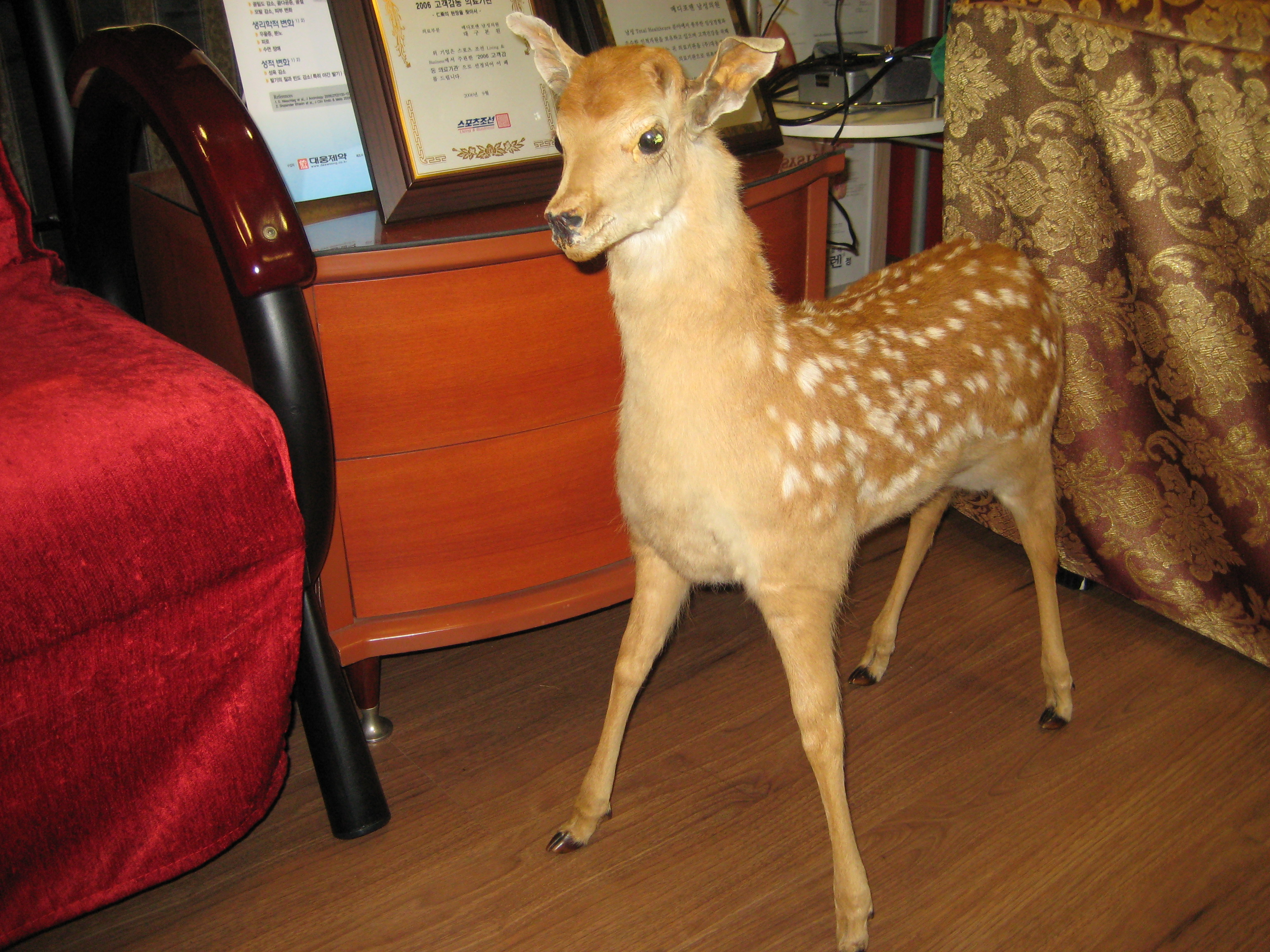 수술후기 이미지